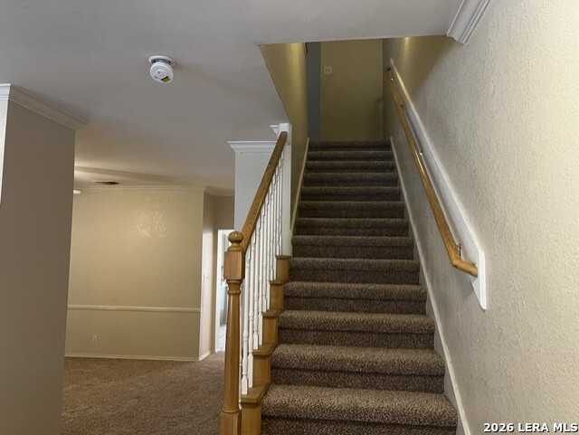 8733 Wickersham San Antonio TX 78254