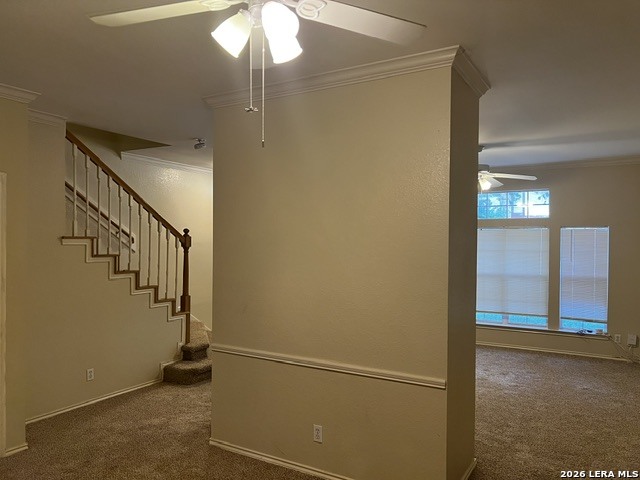 8733 Wickersham San Antonio TX 78254