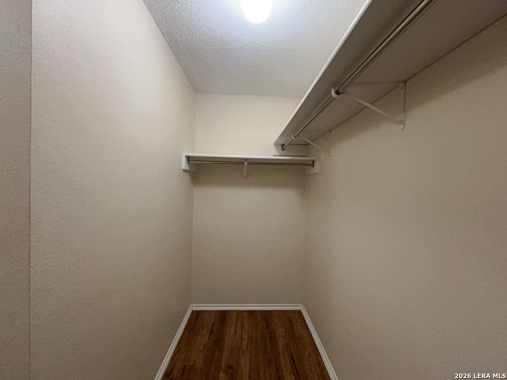 6667 Beech Trail Converse TX 78109