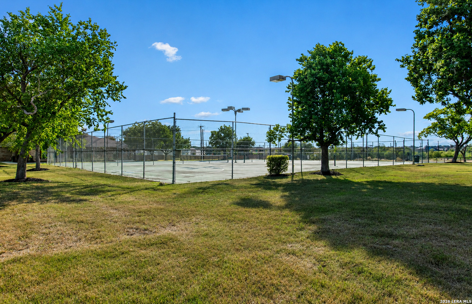 6667 Beech Trail Converse TX 78109