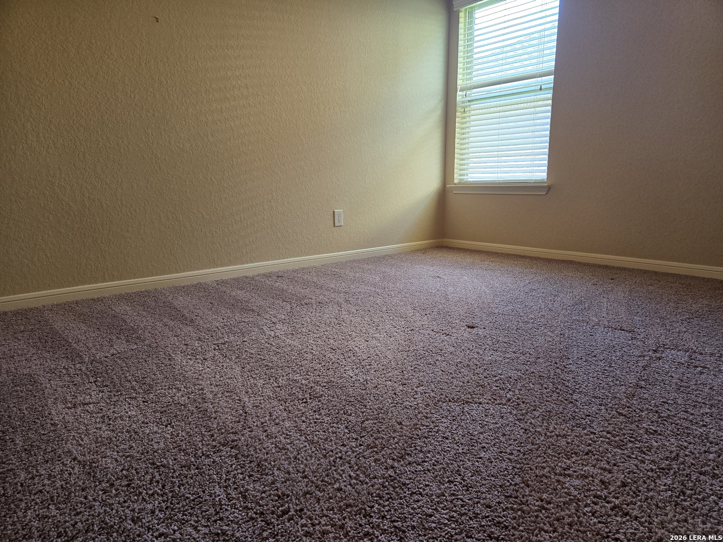 2738 Cinnamon Teal New Braunfels TX 78130
