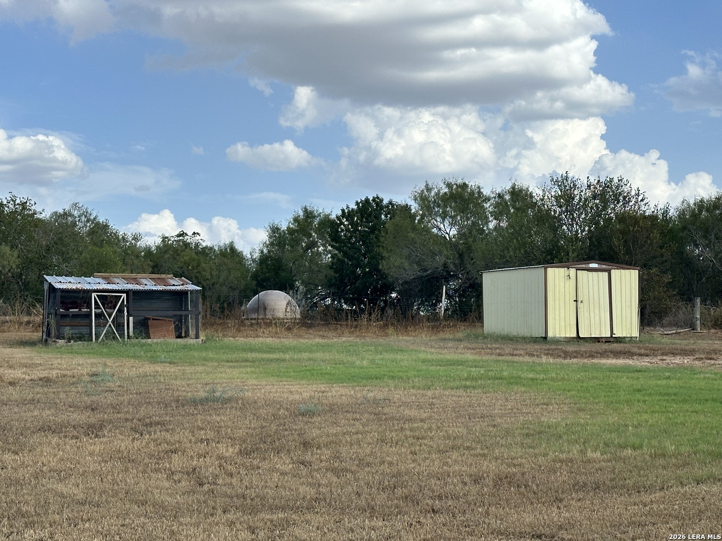 10161 Loop 106 Adkins TX 78101