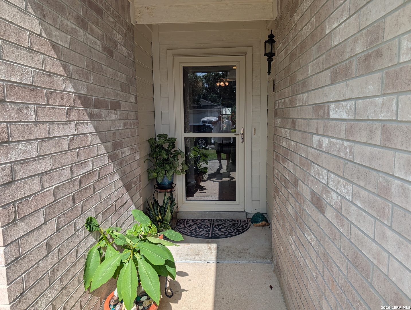 8719 Bent Willow San Antonio TX 78254