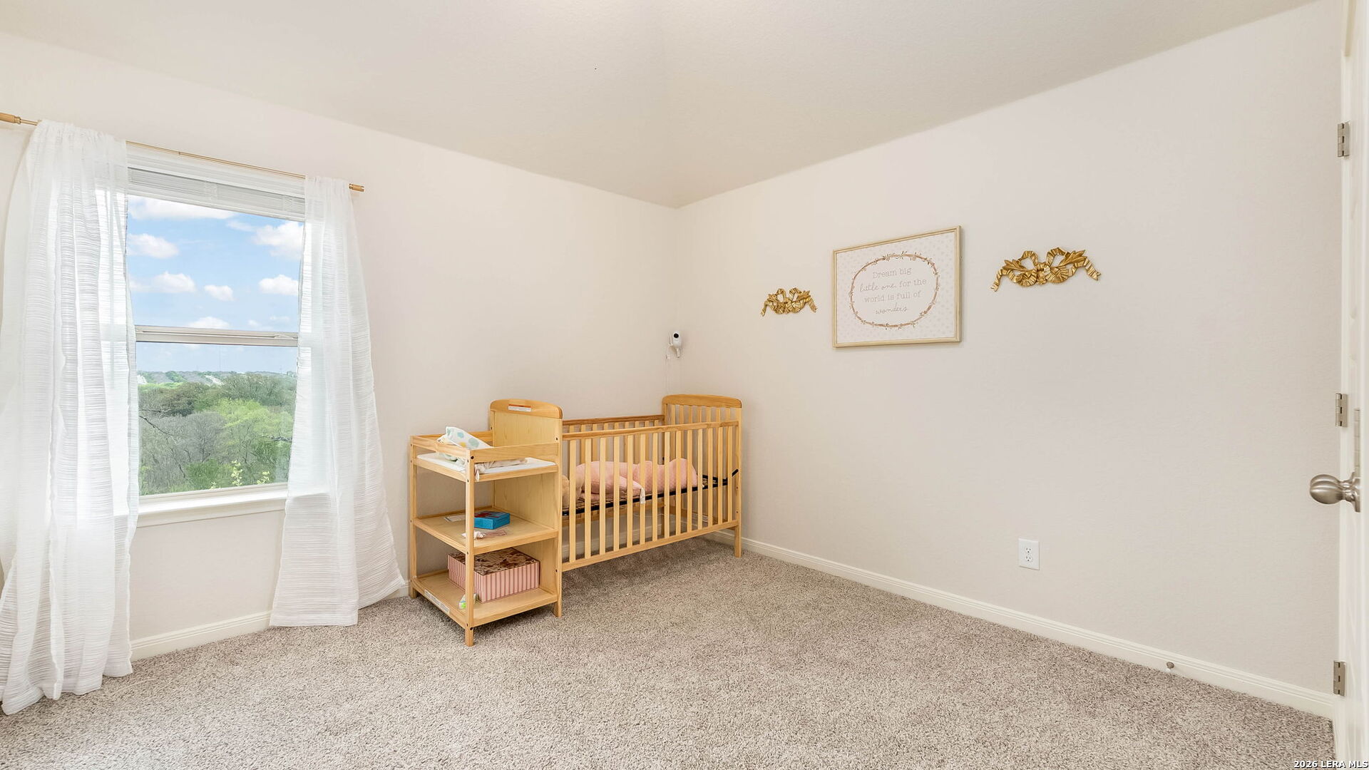 1318 Arcadian Rose San Antonio TX 78245