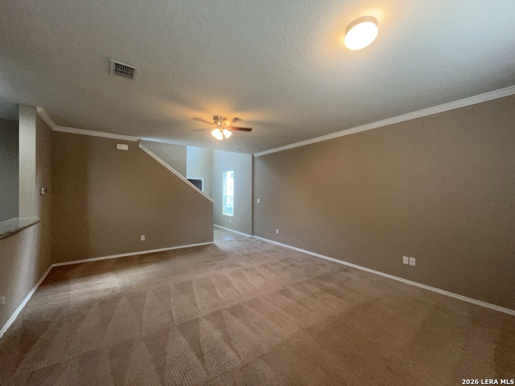 11838 Twin Oaks Path San Antonio TX 78254