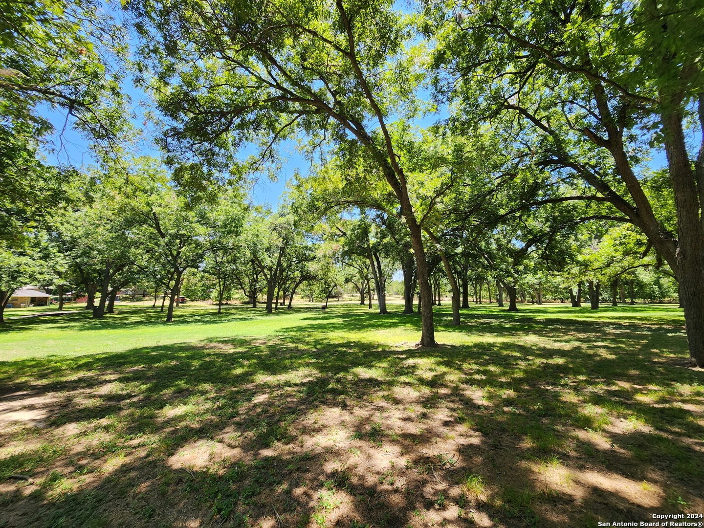 795 Albert Street New Braunfels TX 78130