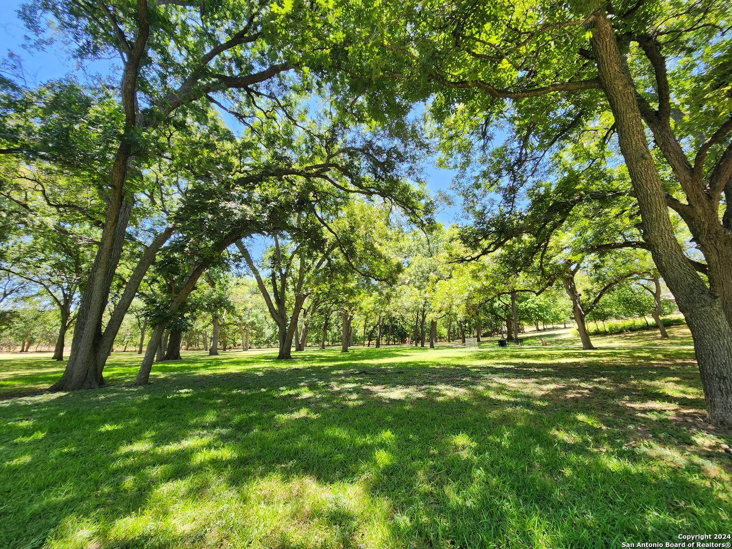795 Albert Street New Braunfels TX 78130