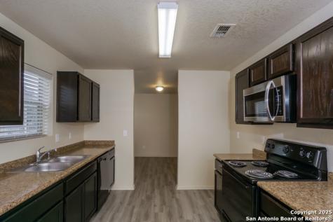 10719 Butterfly Pass San Antonio TX 78224