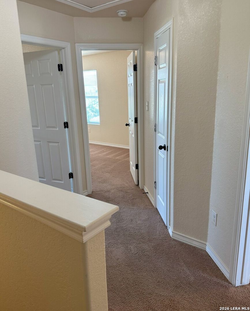16819 Dancing Ava Selma TX 78154
