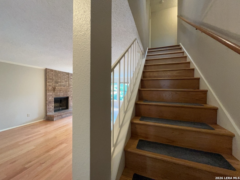 13915 Laurel Hollow Drive San Antonio TX 78232
