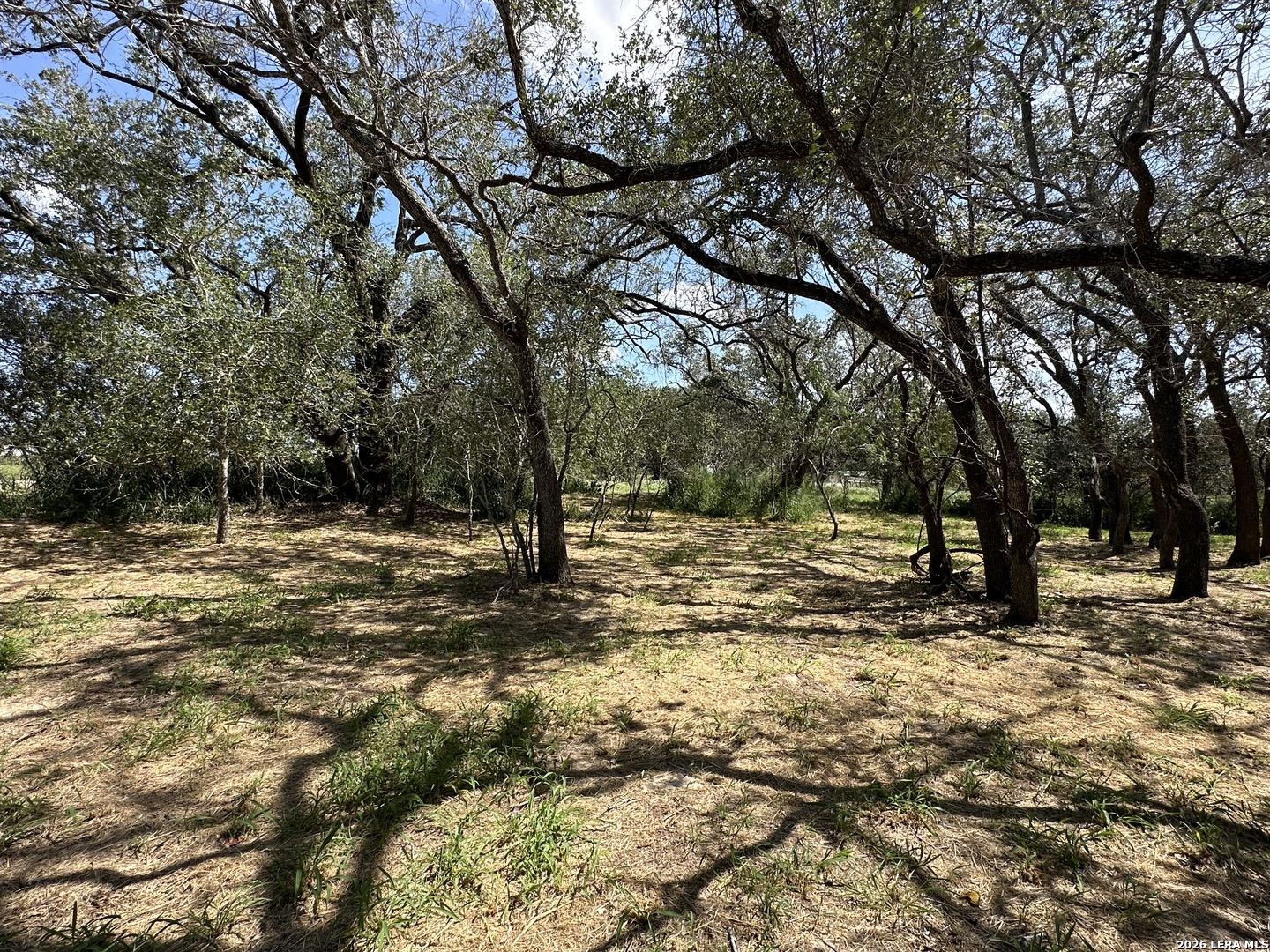 5161 Cr302 Floresville TX 78114
