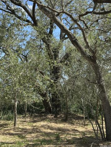 5161 Cr302 Floresville TX 78114