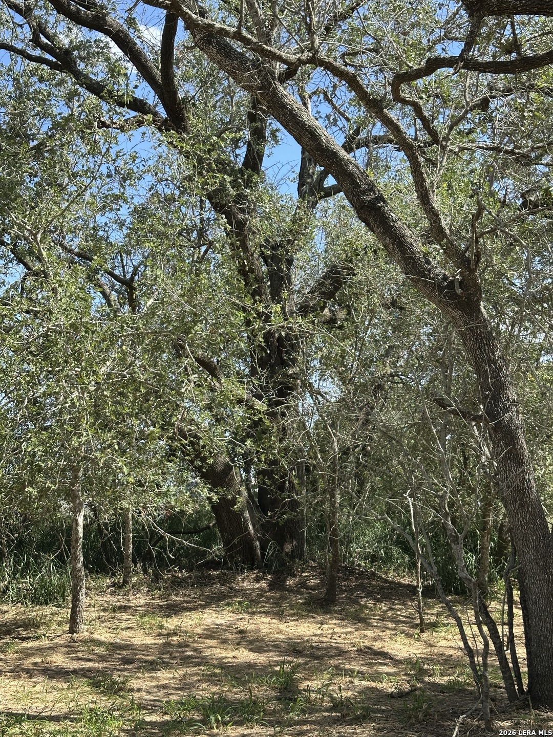 5161 Cr302 Floresville TX 78114