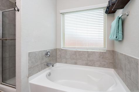 144 Black Fawn San Antonio TX 78253