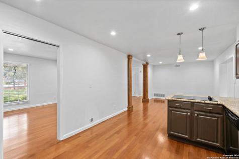 202 Donella Drive Hollywood Park TX 78232