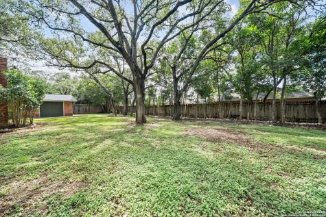 202 Donella Drive Hollywood Park TX 78232