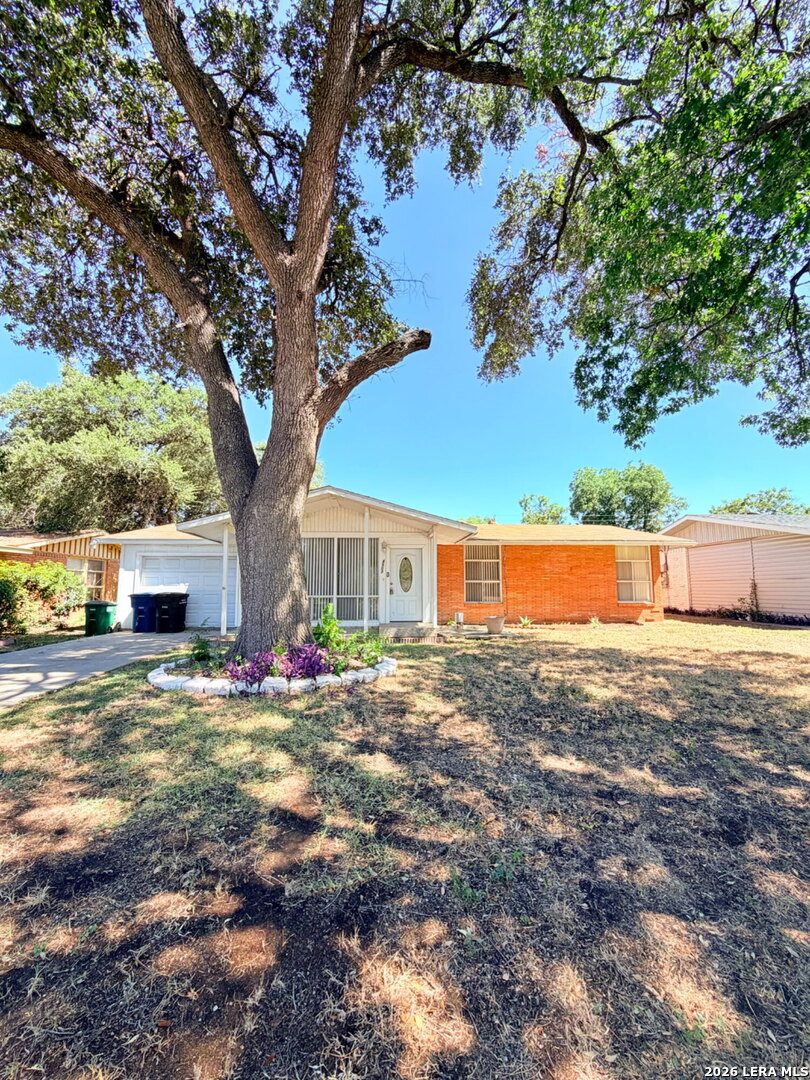 4503 Eisenhauer San Antonio TX 78218