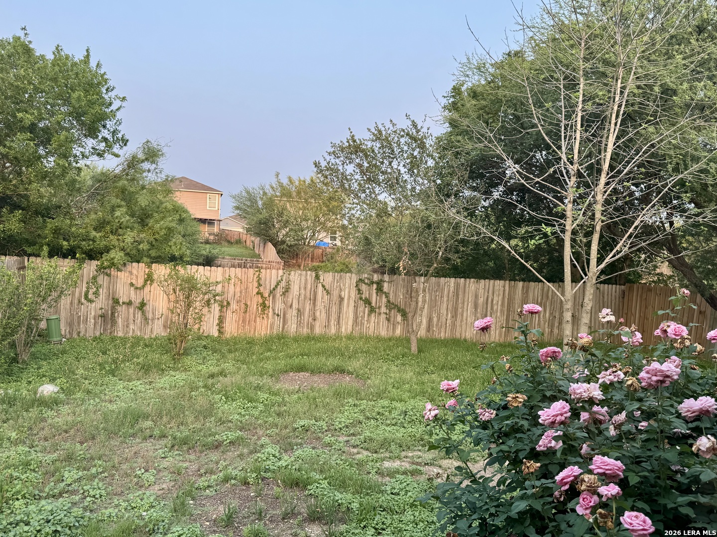 6223 Still Meadow San Antonio TX 78222