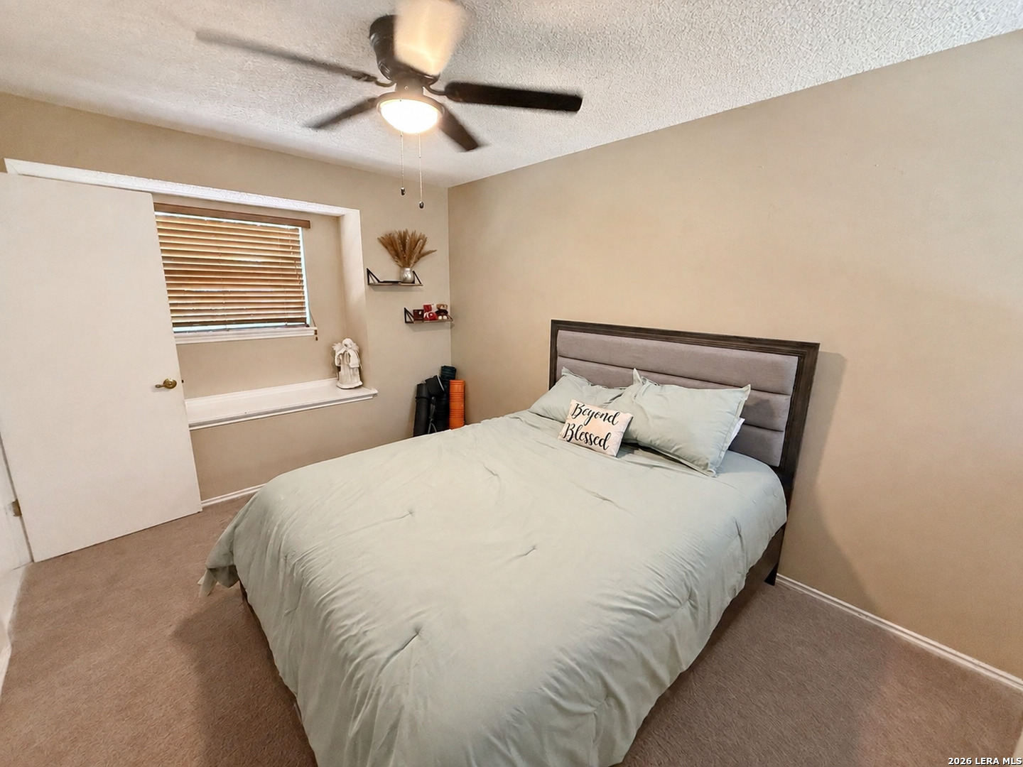 17319 Antlers Cove Helotes TX 78023