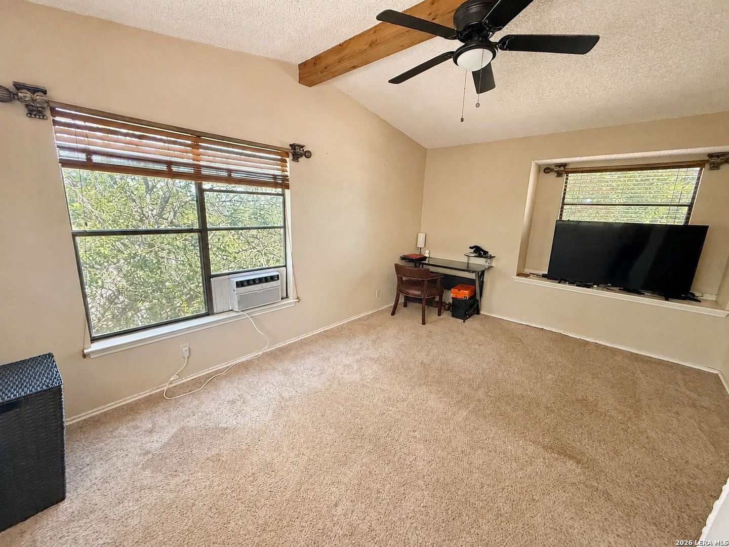 17319 Antlers Cove Helotes TX 78023