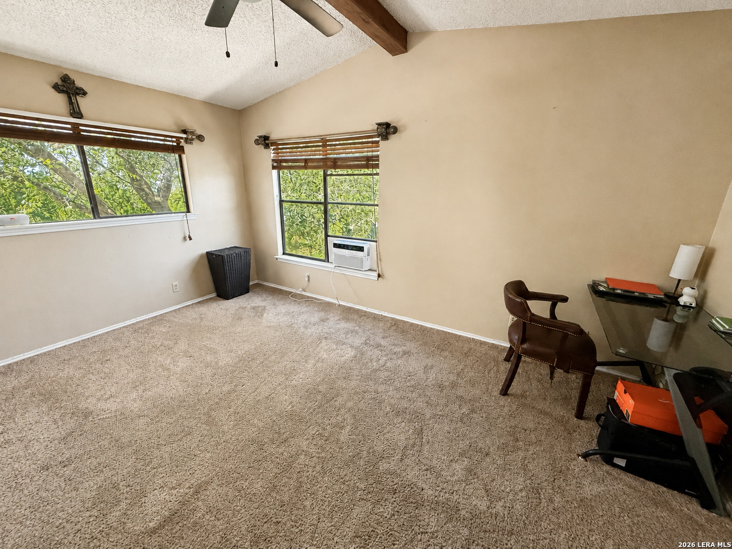 17319 Antlers Cove Helotes TX 78023