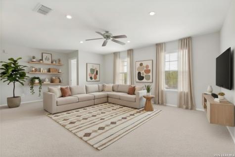 11814 Amber Tree San Antonio TX 78254