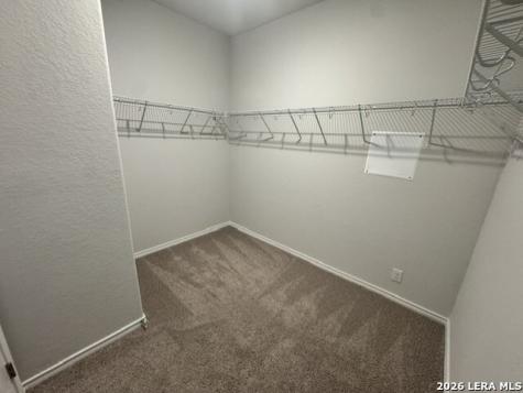 14511 Gecko Landing San Antonio TX 78253