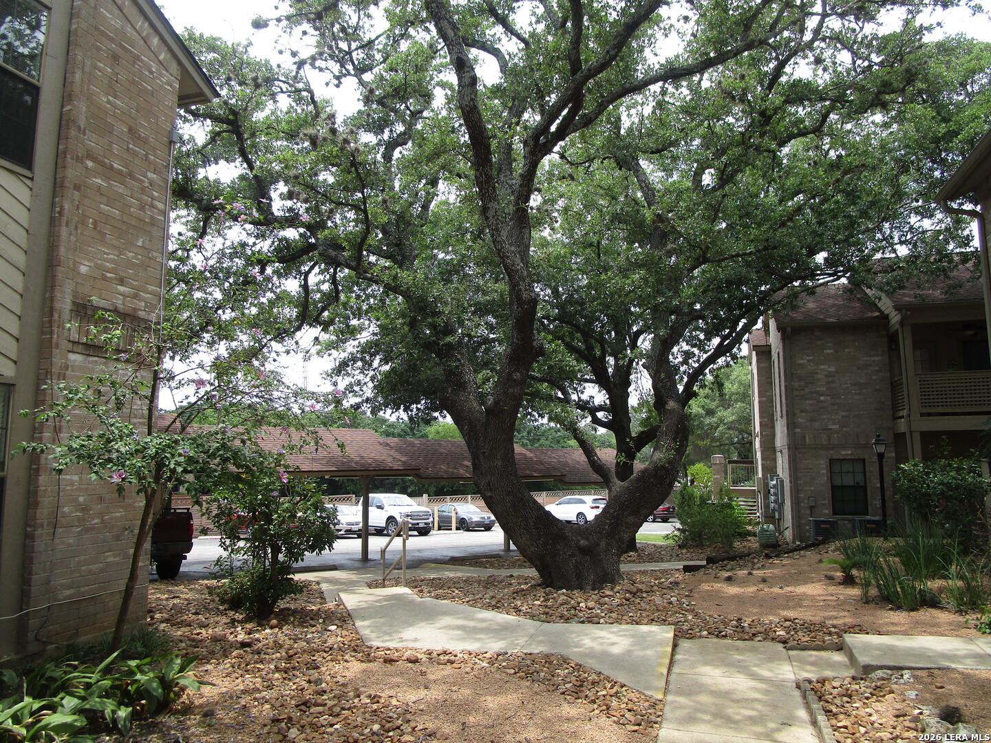 12446 Starcrest Drive San Antonio TX 78216
