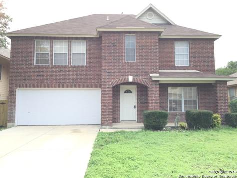 443 Bluegrass Creek San Antonio TX 78253