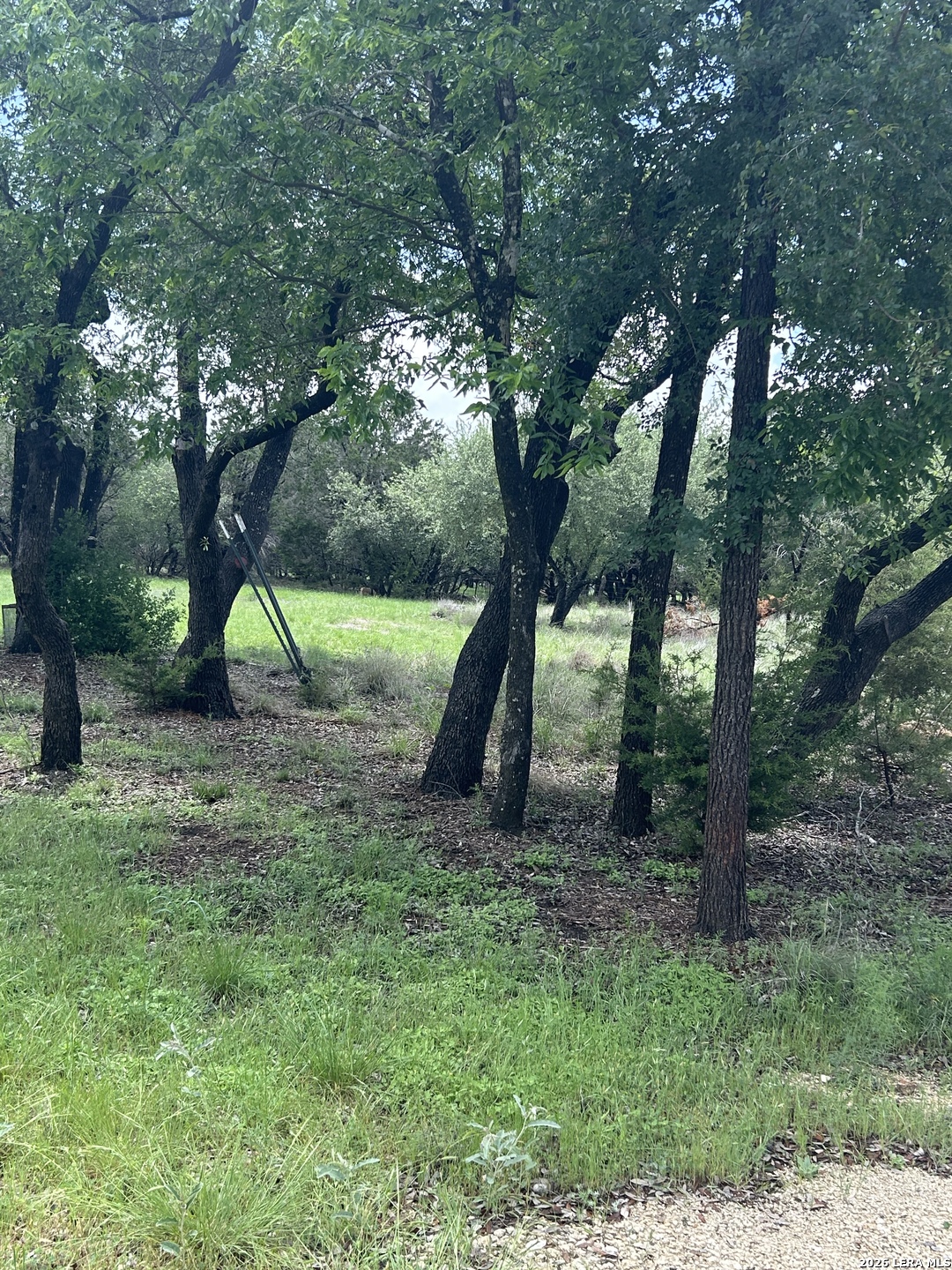 30825 Oakview Road Bulverde TX 78163