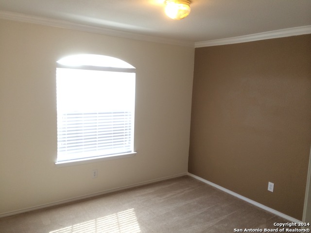16246 Stallion Ranch Selma TX 78154
