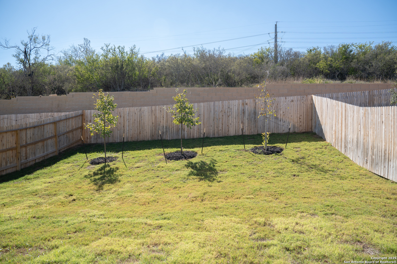 5903 Cosmic Crisp San Antonio TX 78252