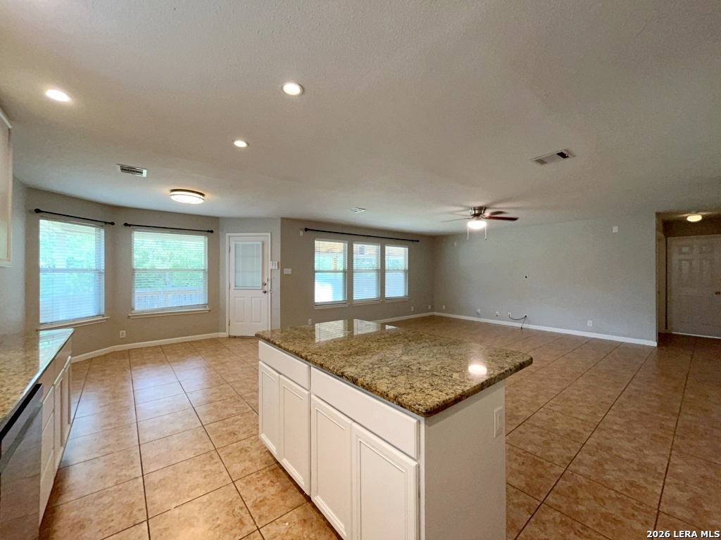 10539 Cougar Chase San Antonio TX 78251
