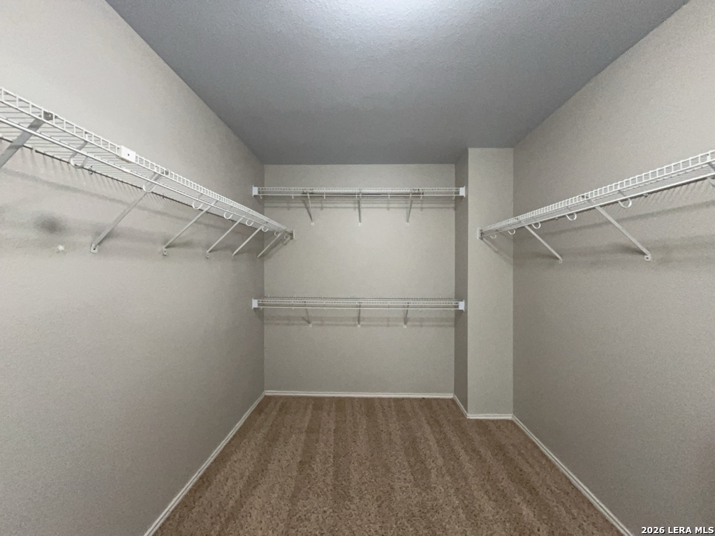 10539 Cougar Chase San Antonio TX 78251