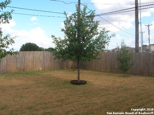 16502 Clydesdale Run Selma TX 78154