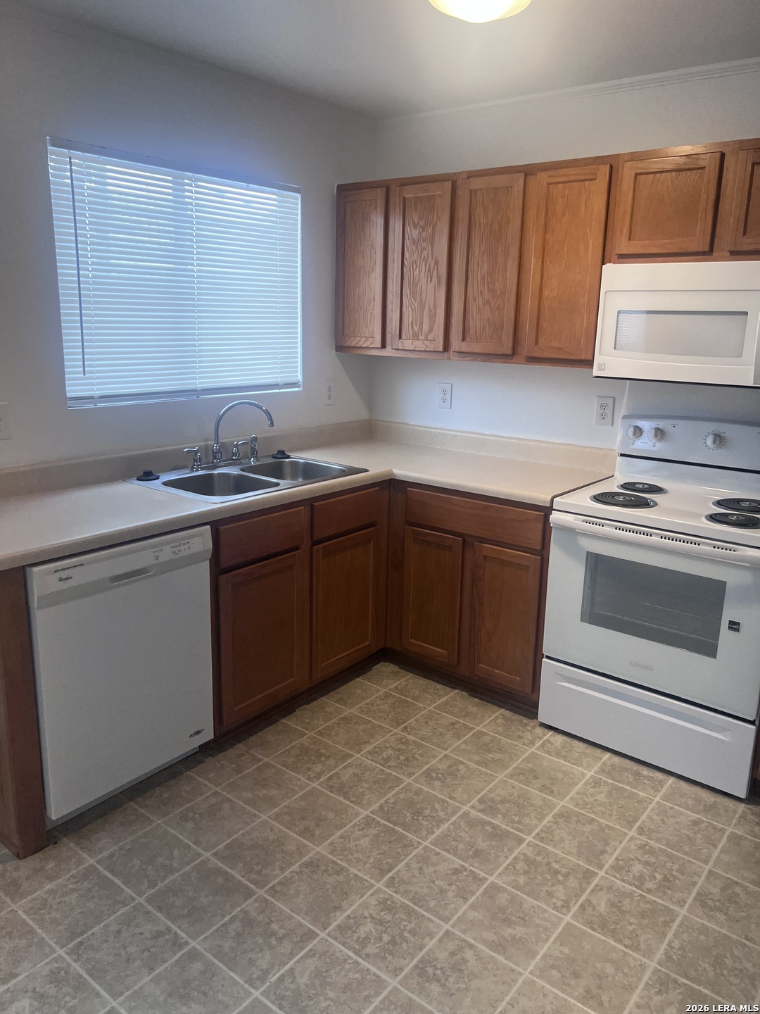 16502 Clydesdale Run Selma TX 78154