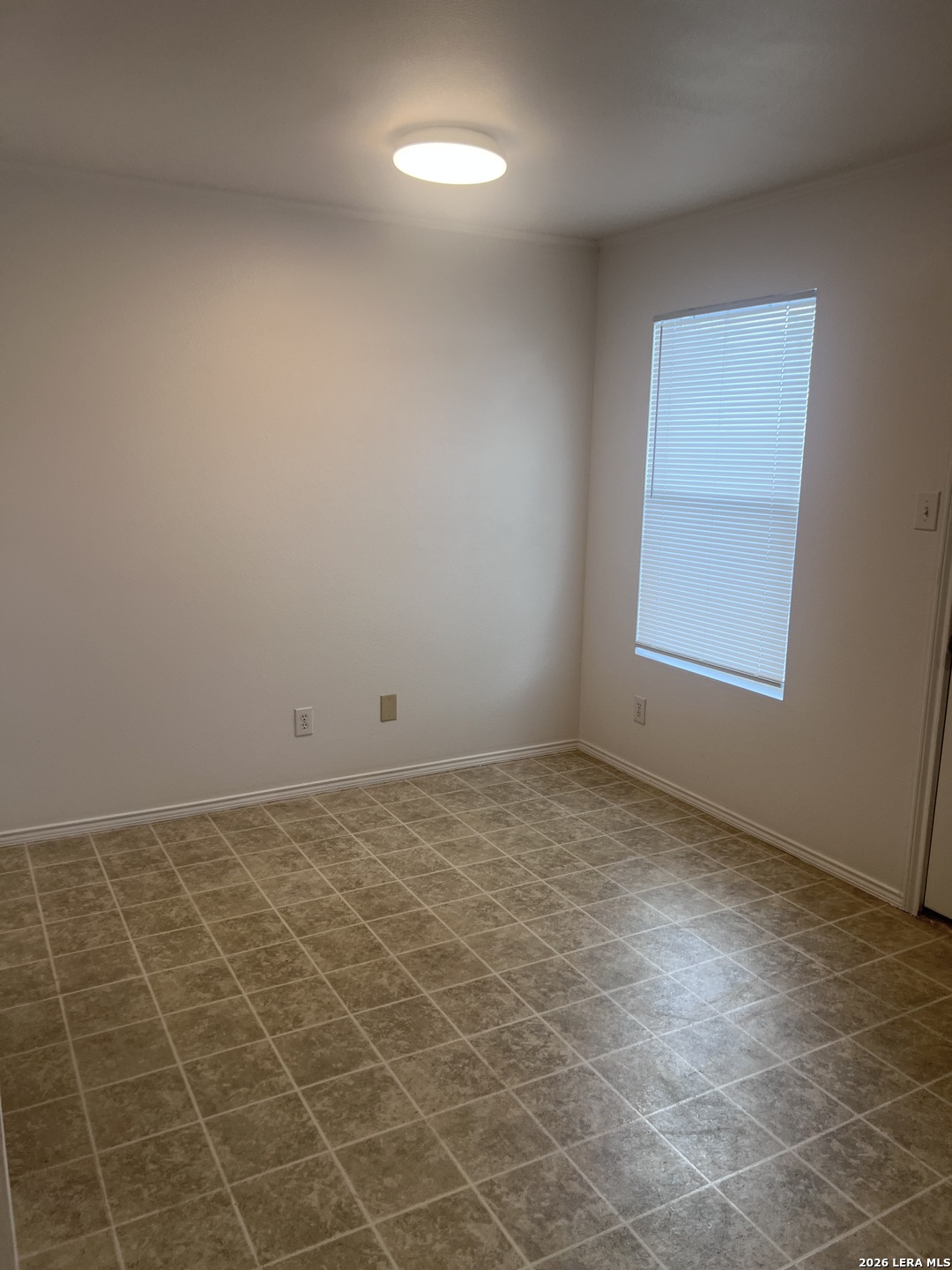 16502 Clydesdale Run Selma TX 78154