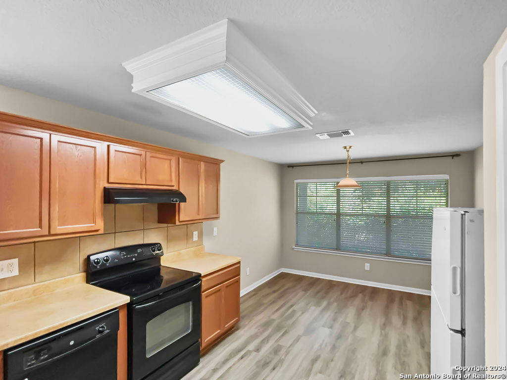 735 Cormorant San Antonio TX 78245