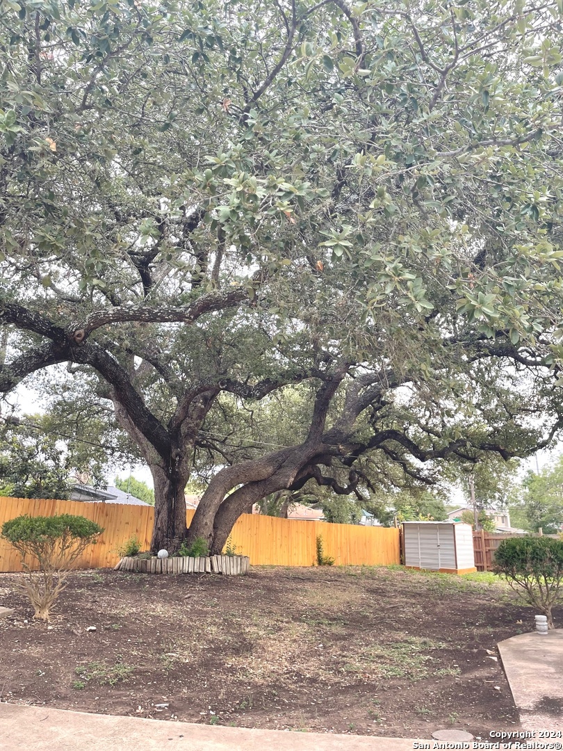 6119 Forest Court San Antonio TX 78240