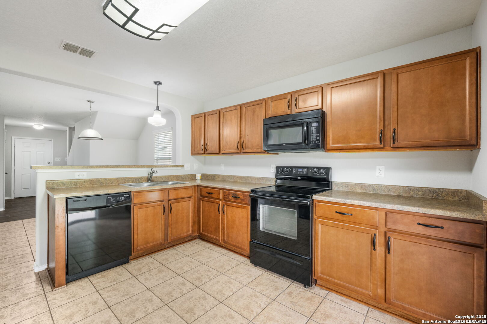 25252 Cambridge Well San Antonio TX 78261