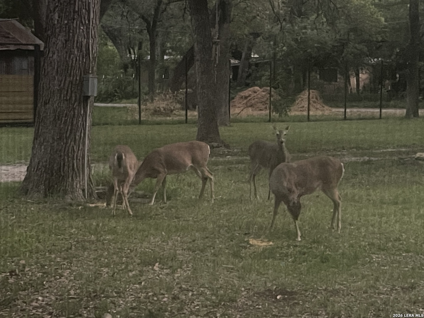 19214 Grey Forest Helotes TX 78023