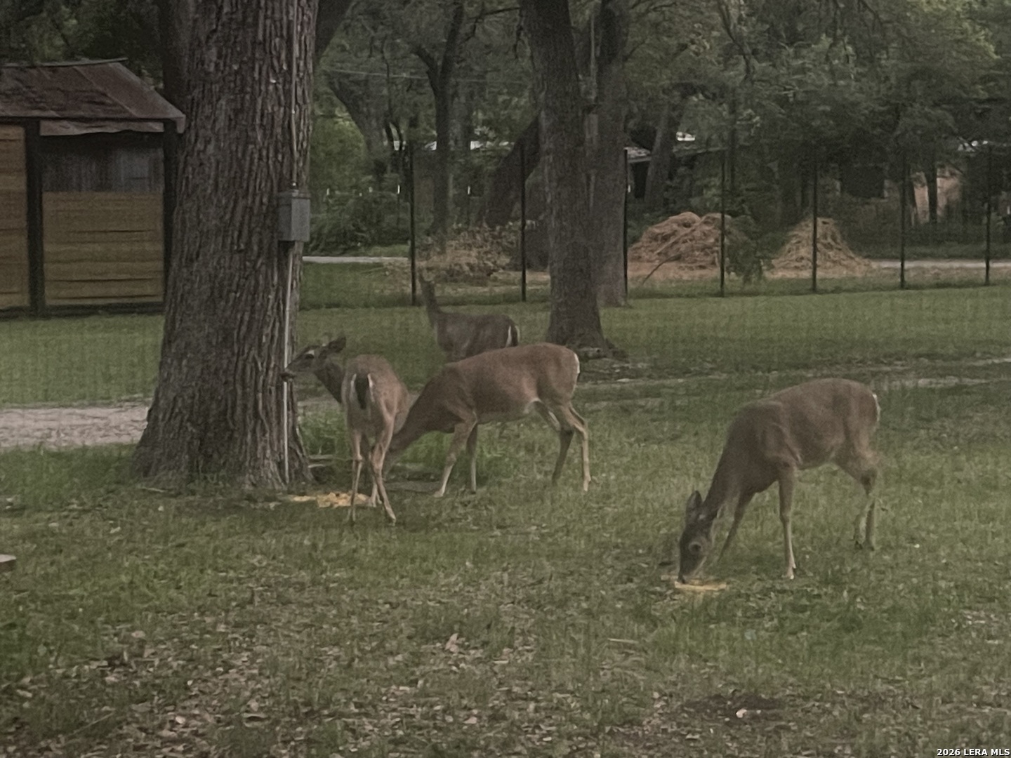 19214 Grey Forest Helotes TX 78023