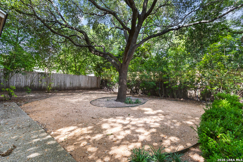230 Alta Avenue Alamo Heights TX 78209