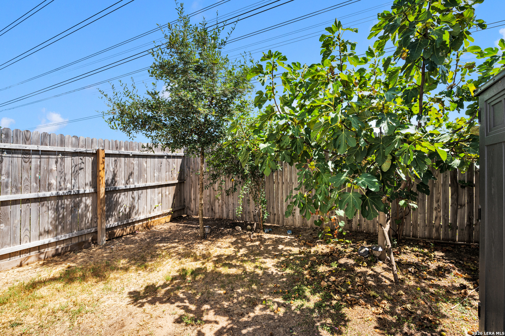 7184 Elm Cove San Antonio TX 78244