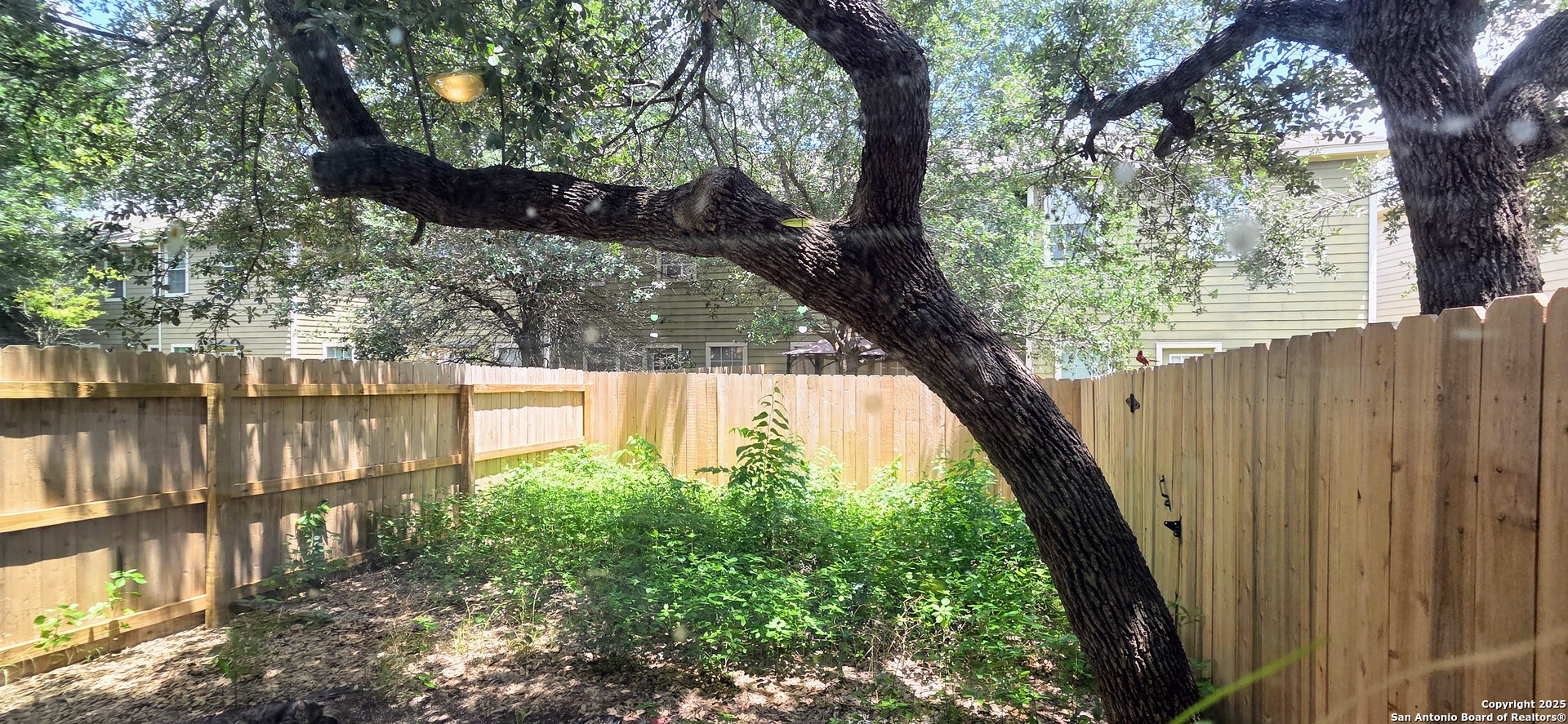 7814 Kingsbury Wood San Antonio TX 78240
