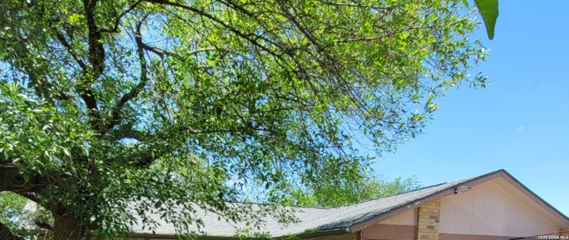 10562 Bounty Drive San Antonio TX 78245