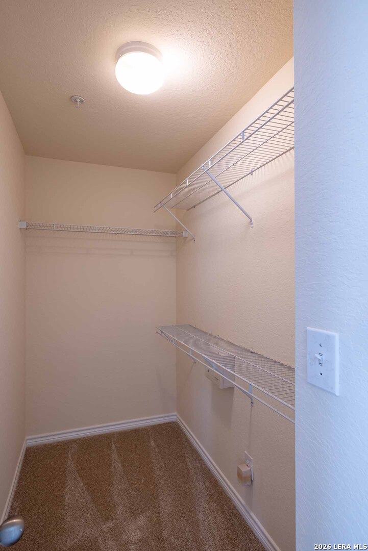 1113 Paniolo Drive Boerne TX 78006