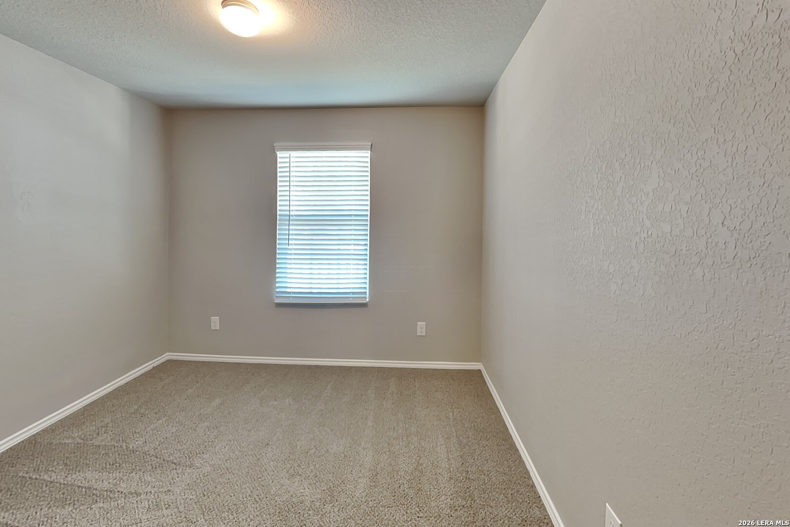 2431 Pechora Pipit New Braunfels TX 78130