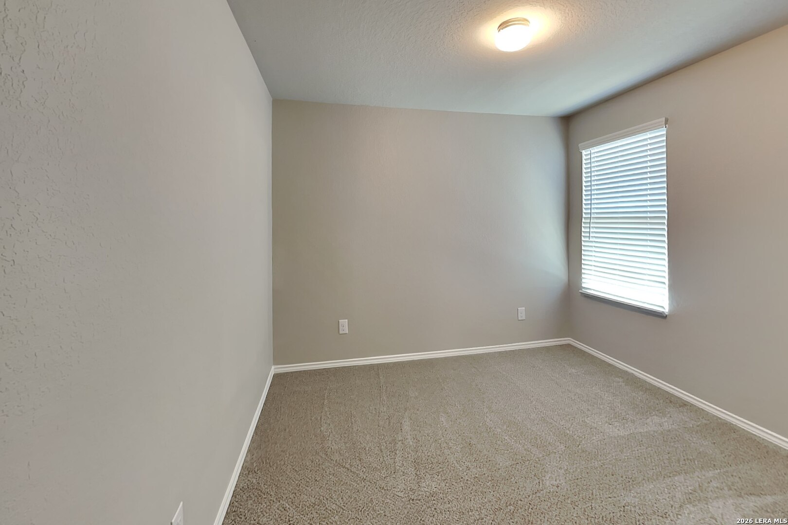 2431 Pechora Pipit New Braunfels TX 78130