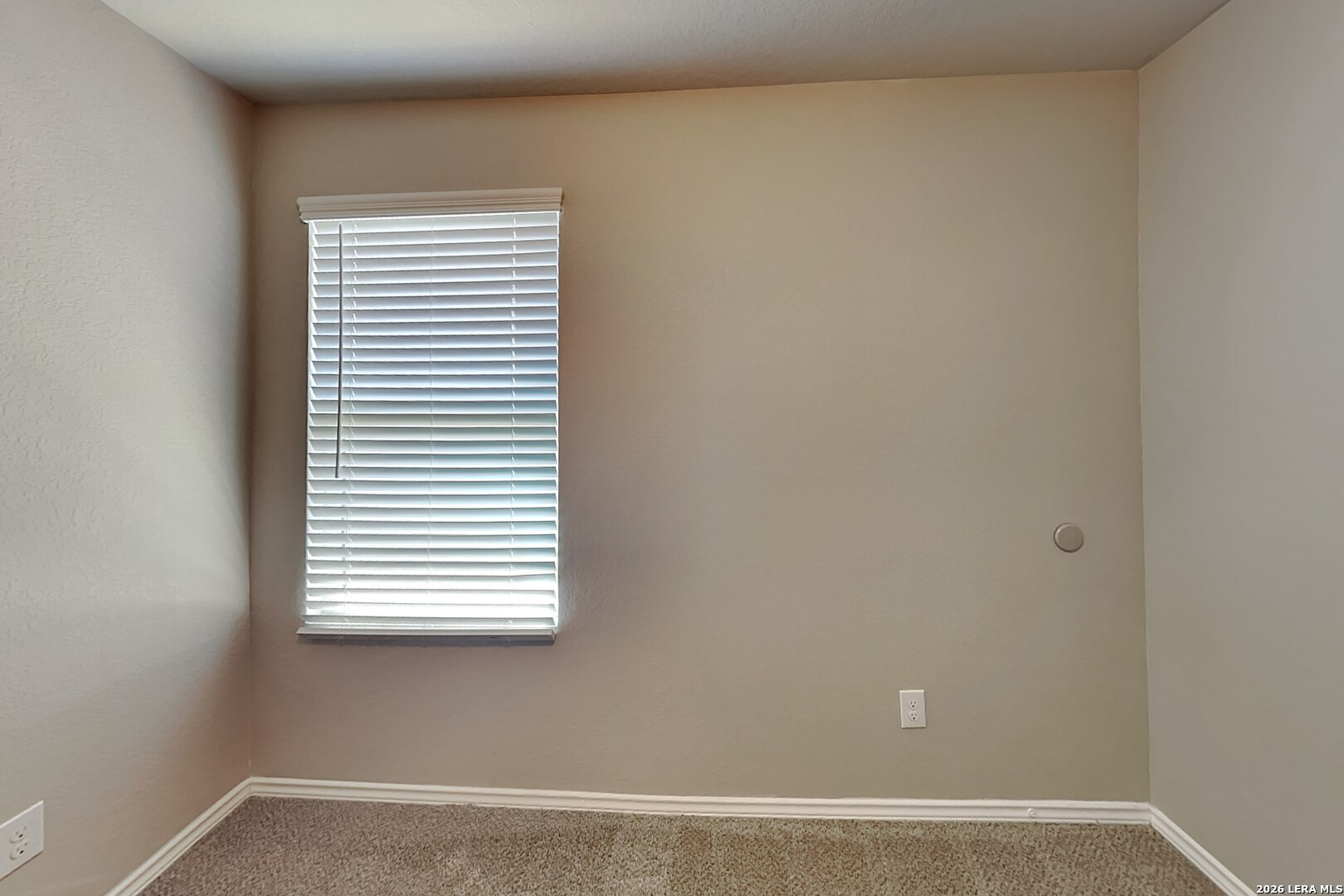 2431 Pechora Pipit New Braunfels TX 78130